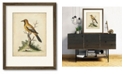 Courtside Market Edwards Gold Finch 16" x 20" Framed and Matted Art